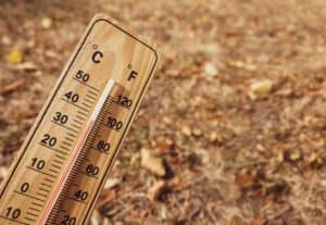Read more about the article Außenthermometer aus Holz