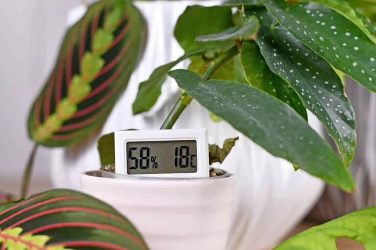 Read more about the article Hygrometer klein