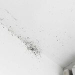 Hygrometer – Ab wann Schimmelgefahr?