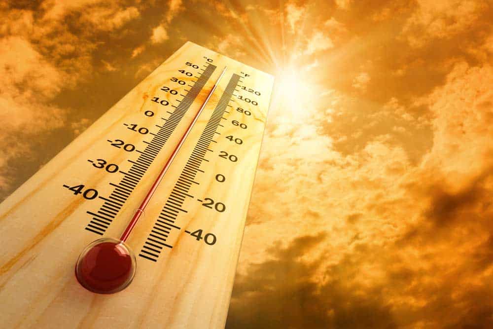 You are currently viewing Thermometer Analog Holz